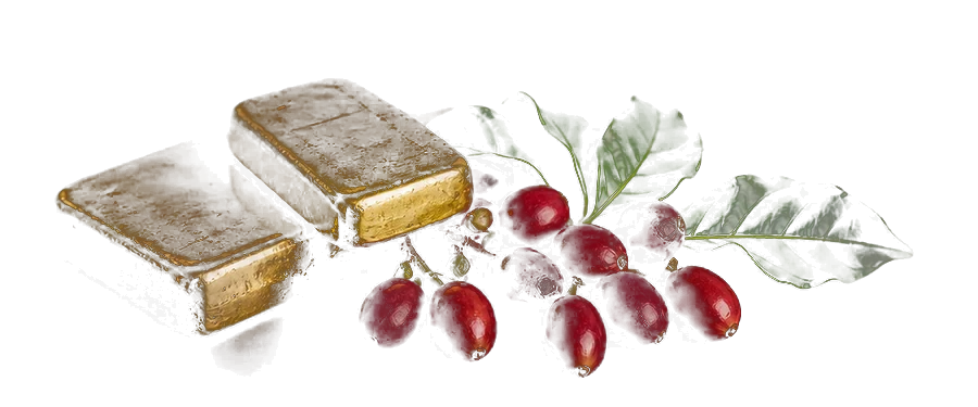 Gold bars and ripe red Ugandan coffee cherries